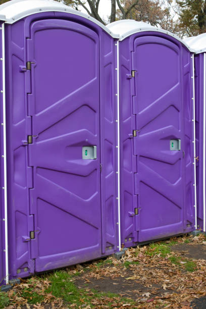 Best Eco-Friendly Portable Toilets  in Spring Valley, AZ